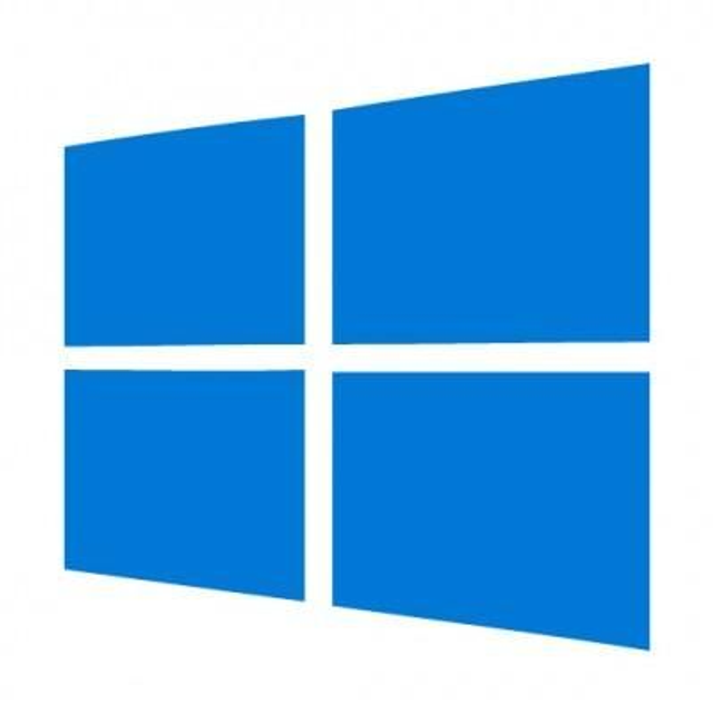 Windows 10/11 Professional con installazione 