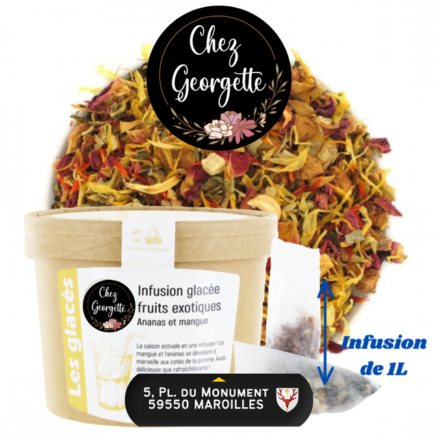 INFUSION GLACÉE FRUITS EXOTIQUES - Pot de 5 Inf. XL