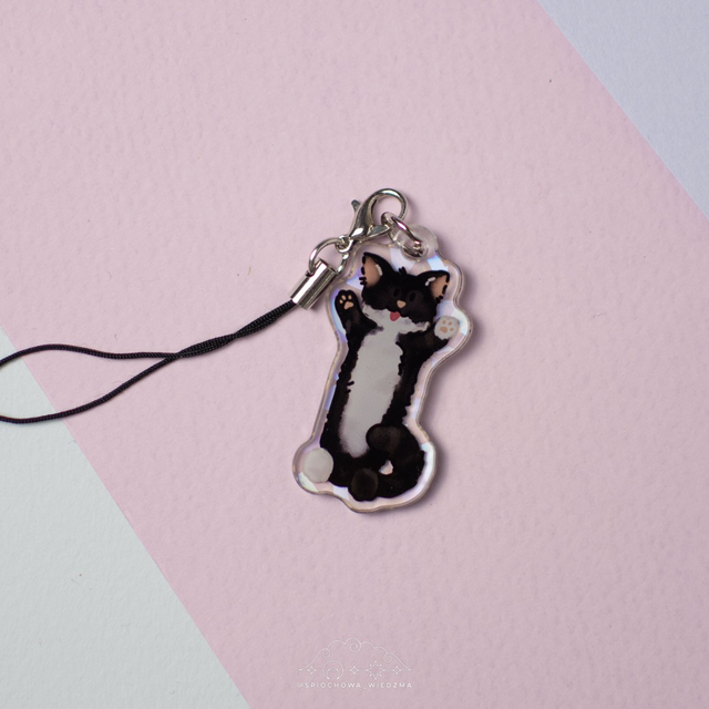 Czarno-biały kot | ZWIERZĘTA