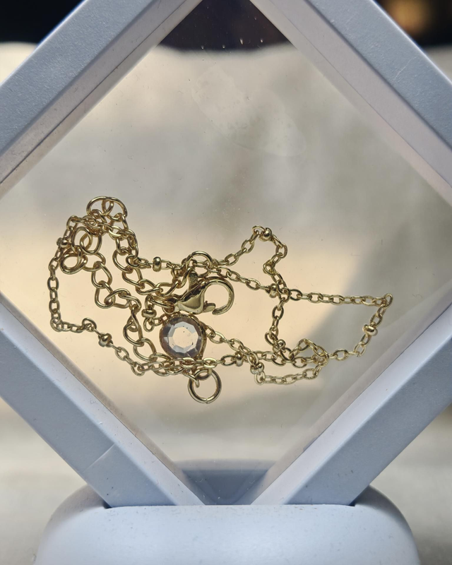 Enkelbandje stainless steel goudkleur