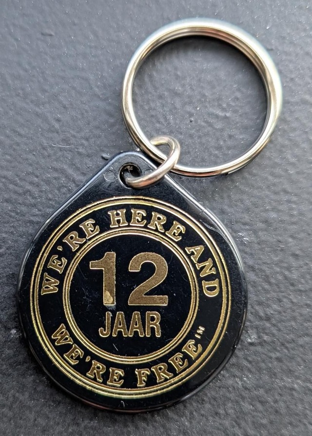 12 jaar plastic coin 