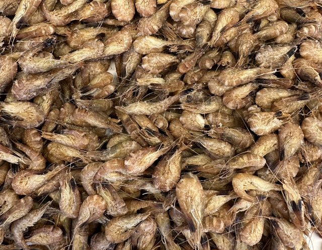 Brown Shrimp