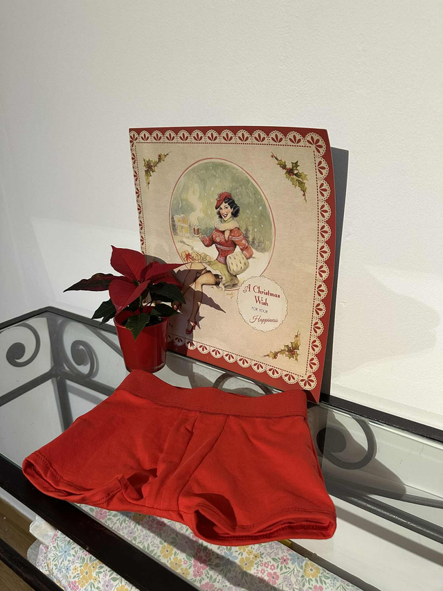 Boxer de Noël pour petit garçon 