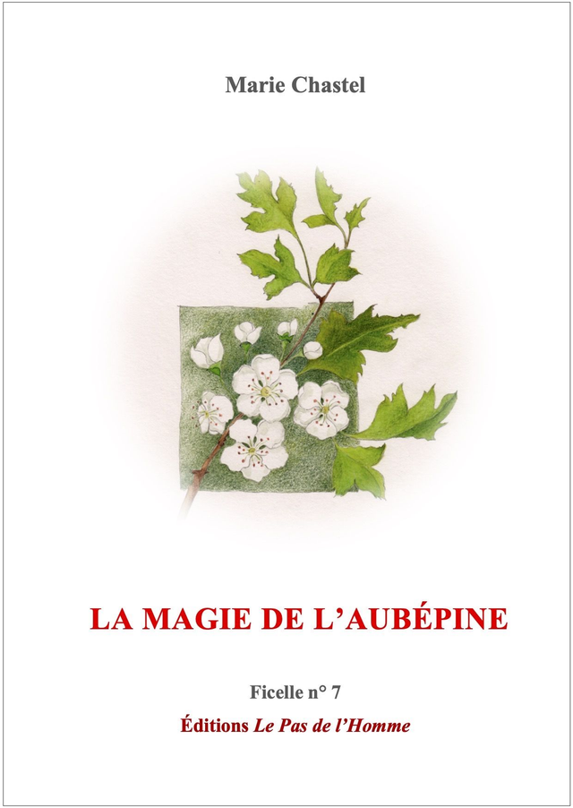 Ficelle n°7 : La Magie de l’Aubépine