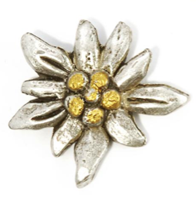 Ohrstecker Edelweiss