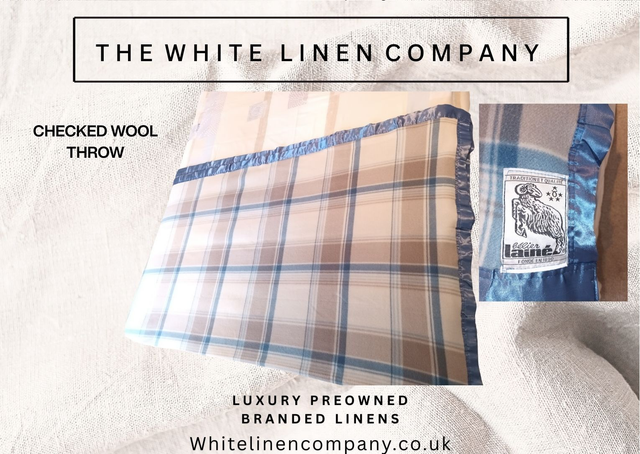 Check Soft Blue Coffee Blanket Throw