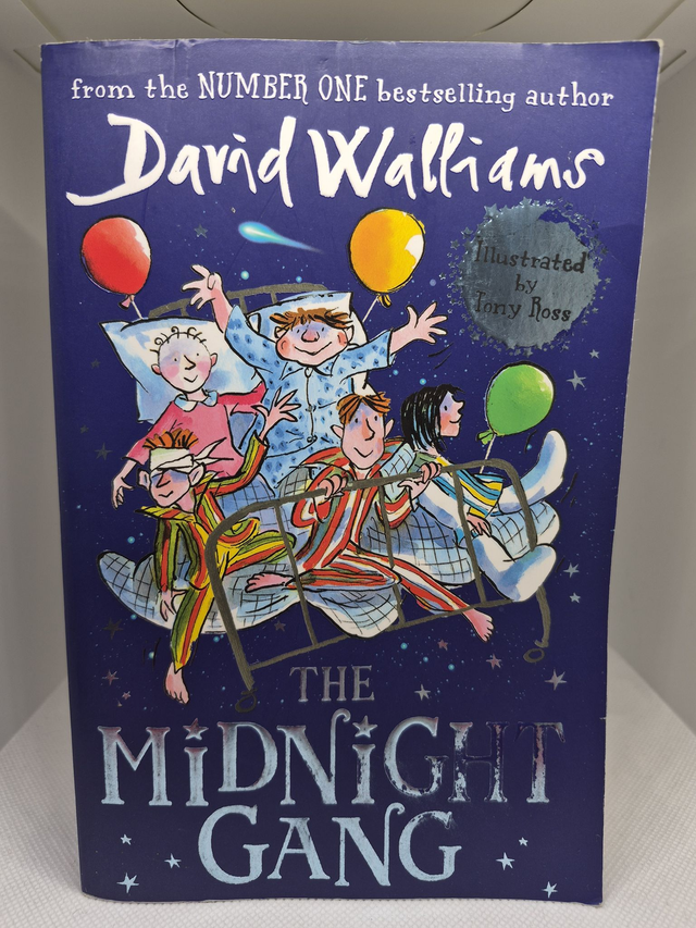 David Walliams - The Midnight Gang