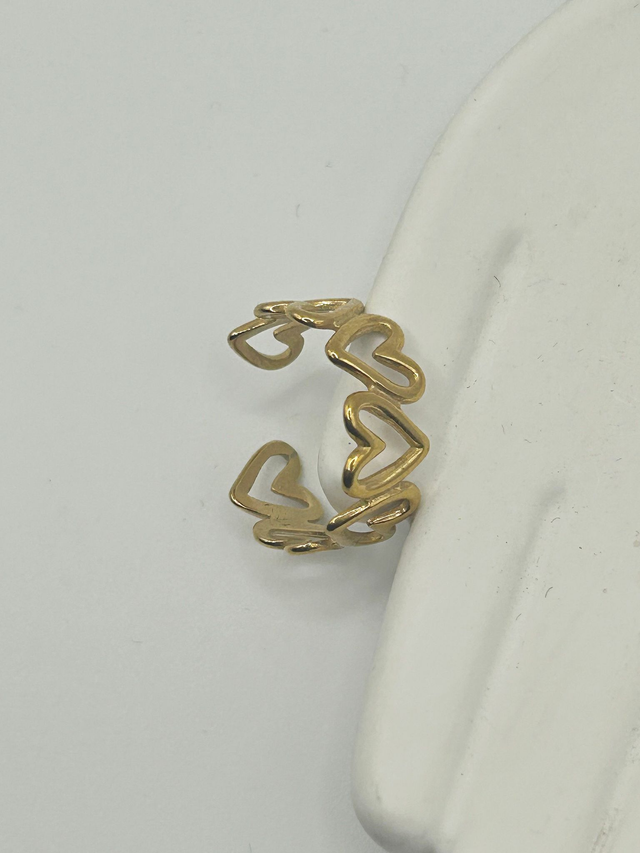 Stainless Steel Ring (SSR17J)