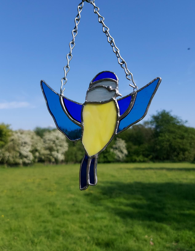 Blue tit