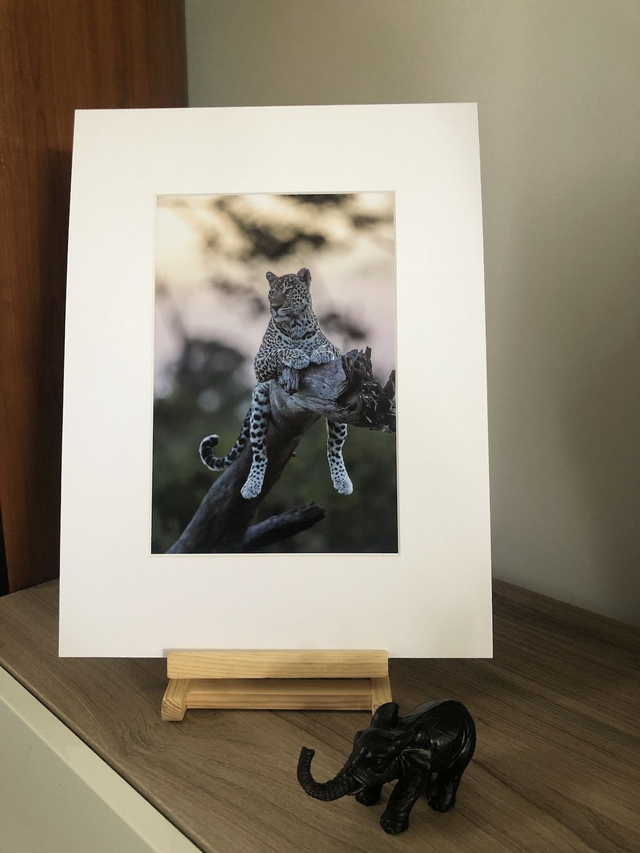 Tirage illimité Léopard 3 avec passe-partout