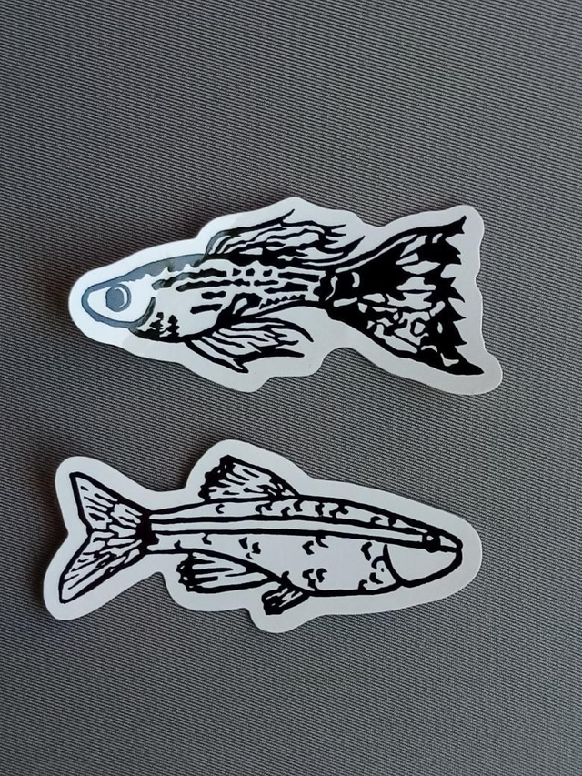 Fish Stickers