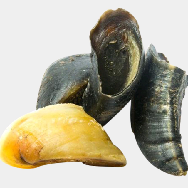 Cows Hoof🐂🐄🐄