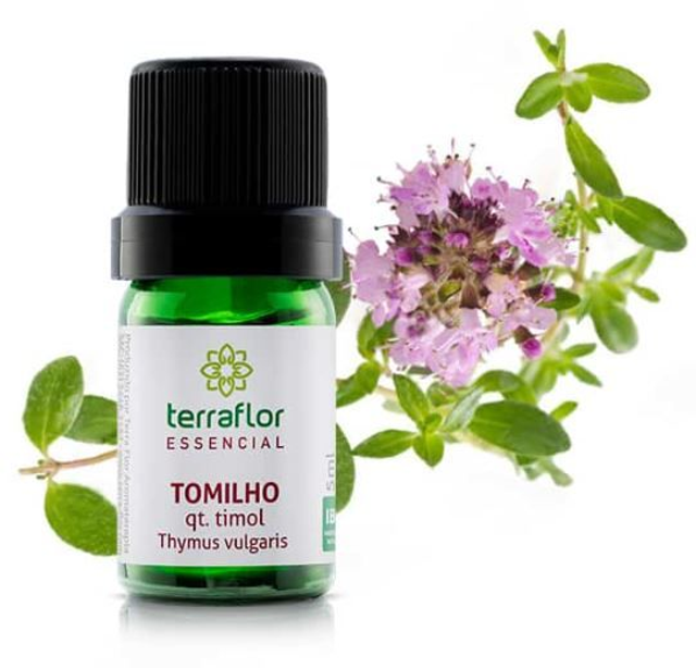 Tomilho qt. Timol 5ml - Terra Flor