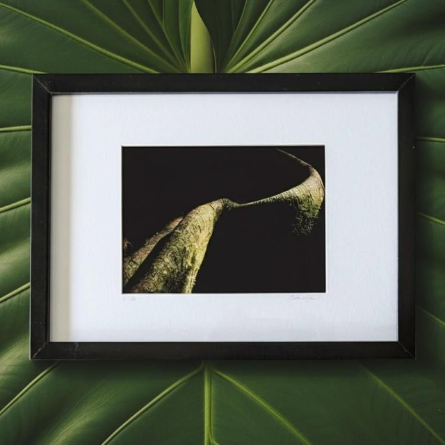 Racines #1 - fromager de Martinique - tirage d&#039;art 