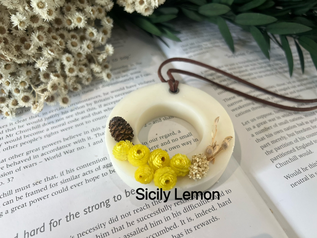 Air freshener 47g each