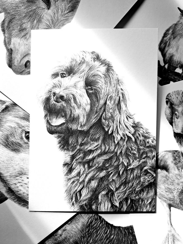 Cockapoo Greetings Card
