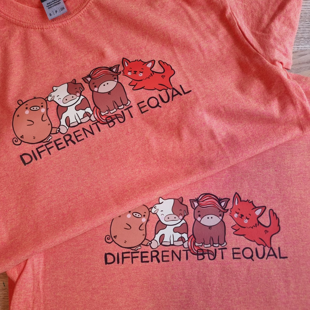 'Different but Equal ' T-Shirt