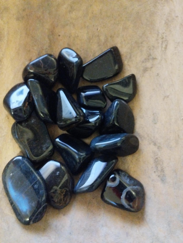 Oeil faucon à l'unité