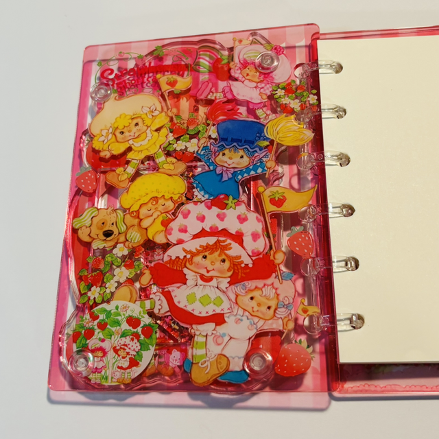 Acrylic Strawberry Shortcake themed shaker notebook