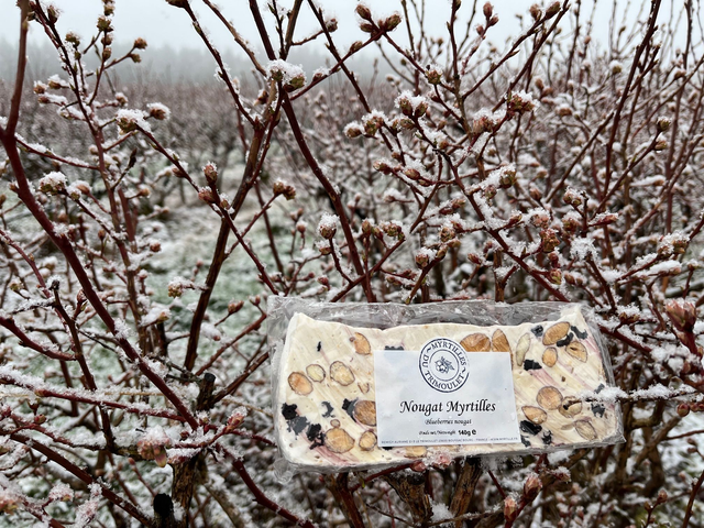 Coffret Noel Joyeuses Myrtilles