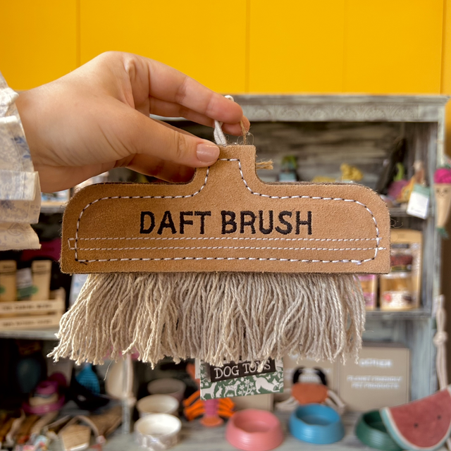 Green & Wild's Daft Brush, Eco Dog Toy