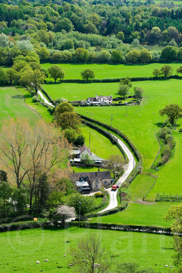 Postman Pat - limited edition poster print.