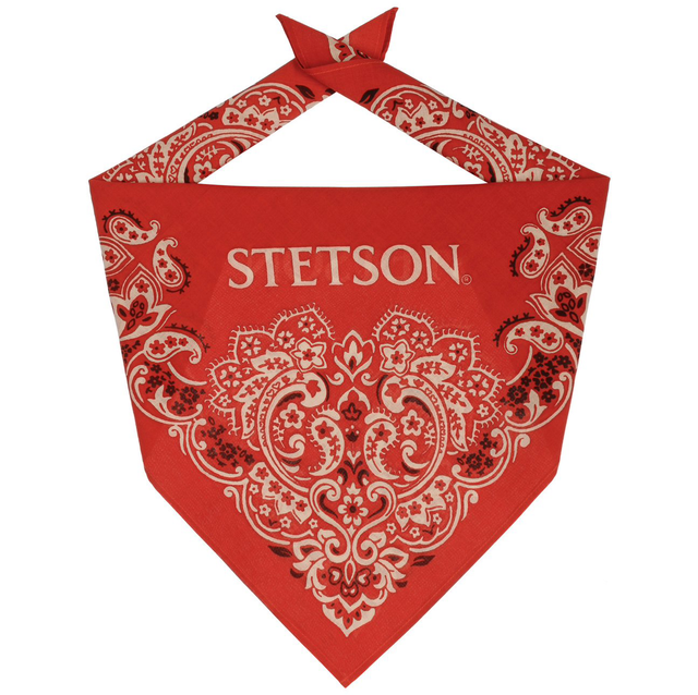 Stetson Paisley Bandana 