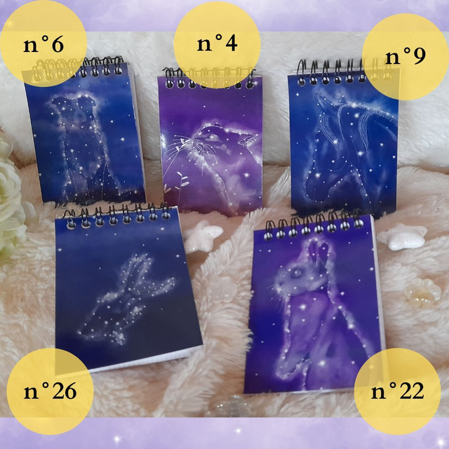 Mini bloc-notes "animaux des étoiles"