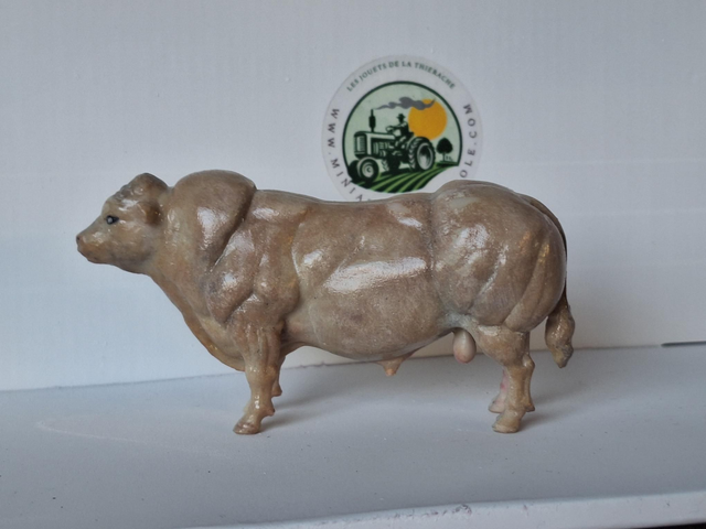 Miniature taureau Blanc bleu belge BBB2
