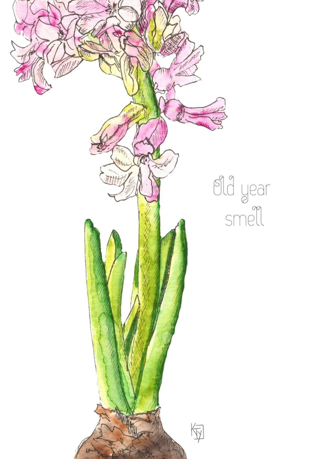 Jacinthe "Old year smell"