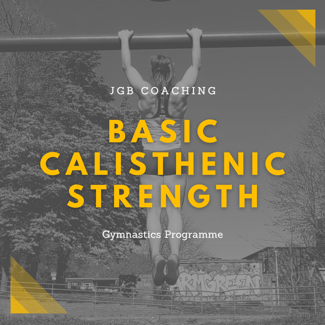 Basic Calisthenics Strength