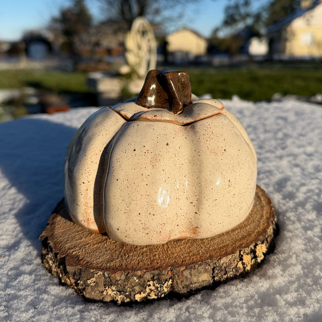 Pot citrouille blanc moucheté