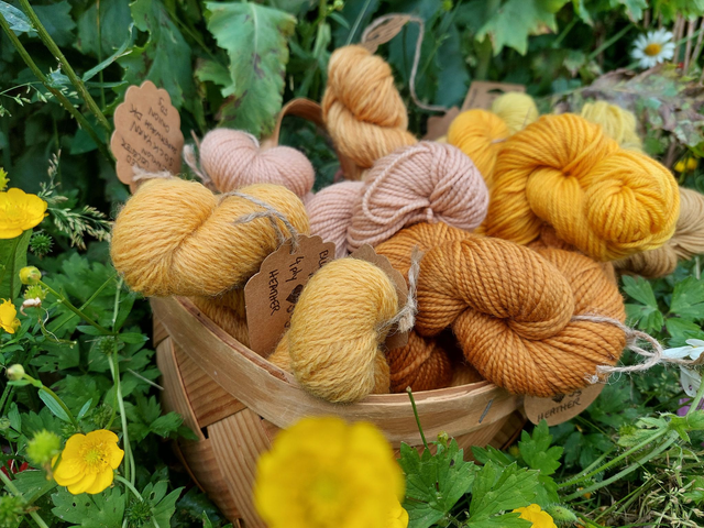 1 day Natural Dyeing Workshop 5th July