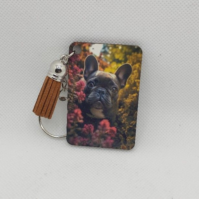 Bouledogue français Noir