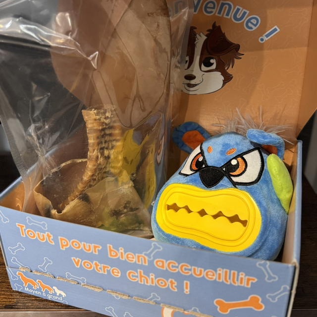 Kit Chiot - Moyen Grand