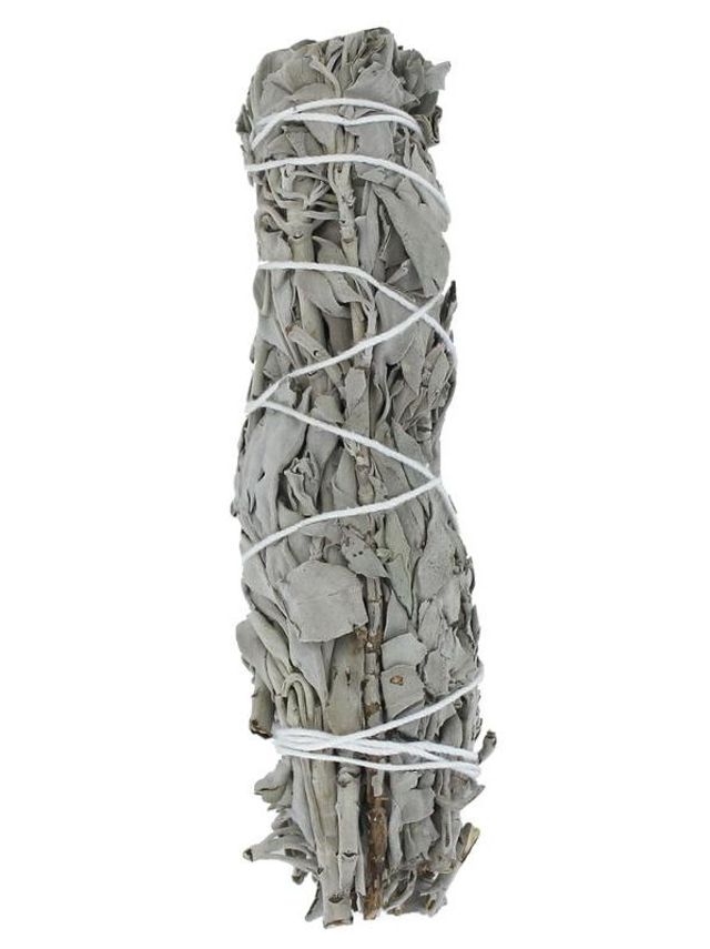 Sauge Blanche "moyen modèle"