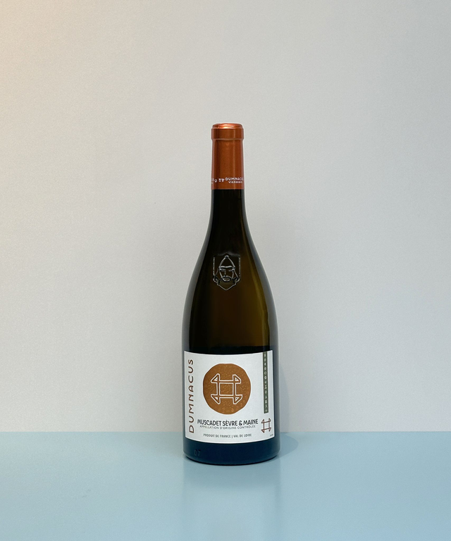 Muscadet Sèvre et Maine - Dumnacus