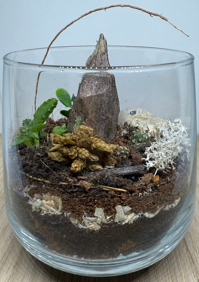 Bowo® KONGO connecté Home 