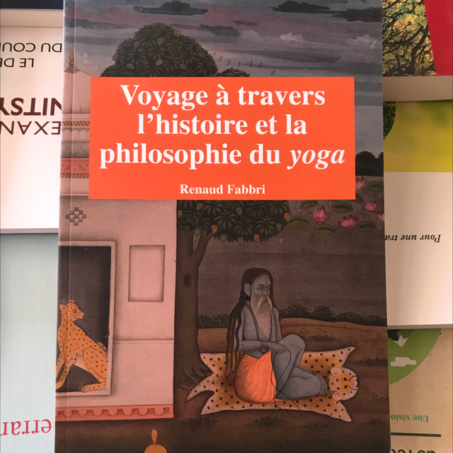 FABBRI Renaud - Voyage à travers l’histoire et la philosophie du yoga 
