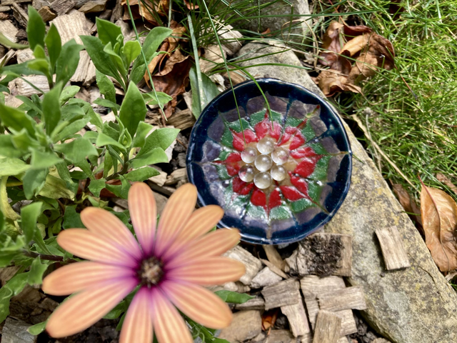 Rainbow tie dye trinket dish / beesip dish