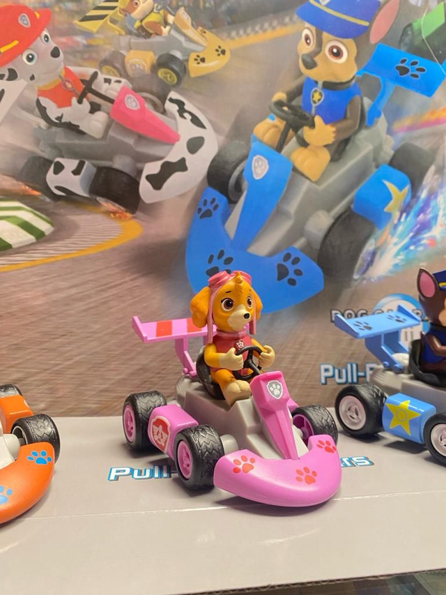 Paw patrol, GO cart retrocarica  Skye