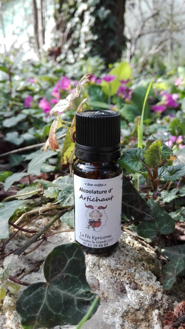 MACERAT ALCOOLIQUE d&#039;Artichaut [BIEN-ETRE Digestion] 10ml