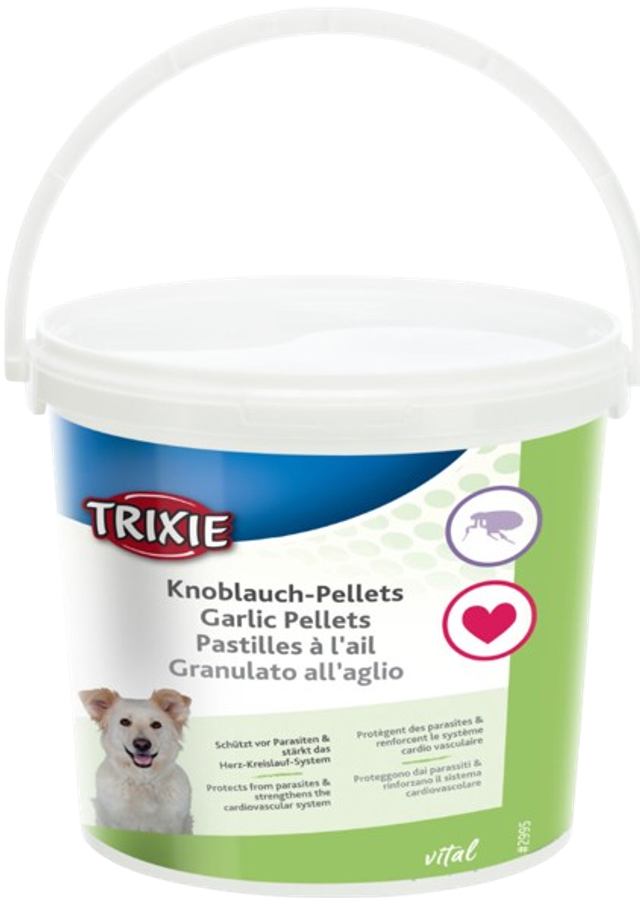 PASTILLES A L'AIL 360G