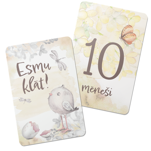 Mēnešu kartītes (20 gb.) POT POURRIE - yellow