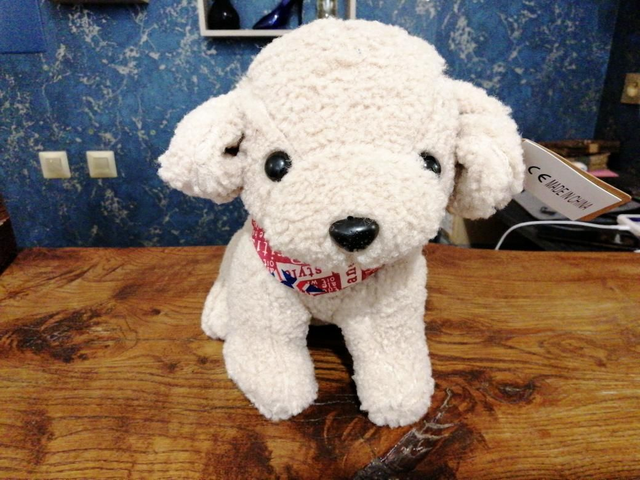 Caniche