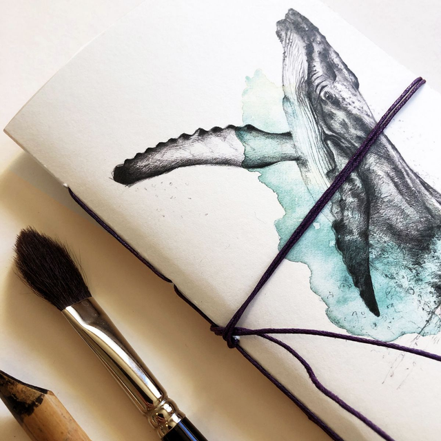 Carnet Baleine à bosse