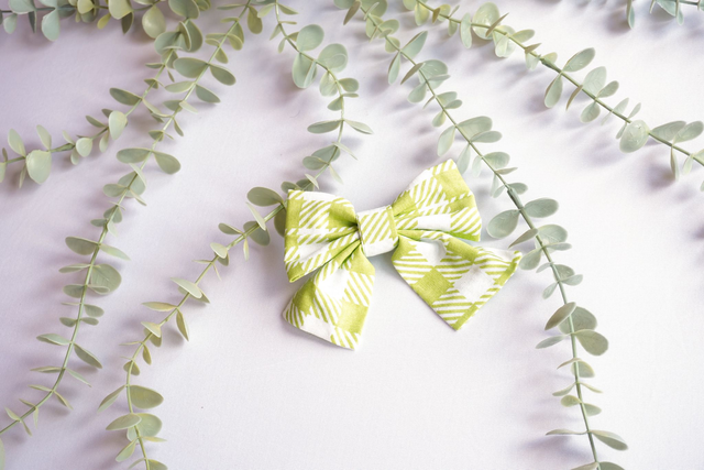 Hair Bow #014