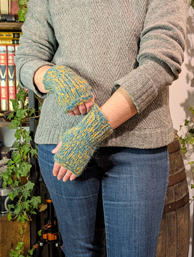 Mitaines bleu et jaune