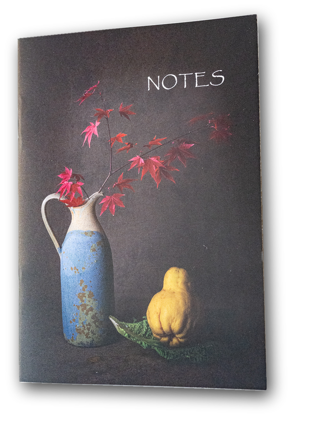 Carnet A6 modèle Affinités élémentaires