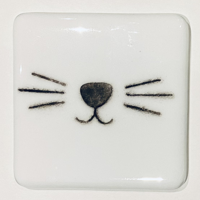 Cat Coasters